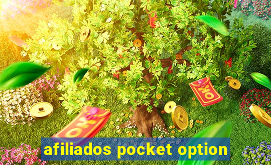 afiliados pocket option